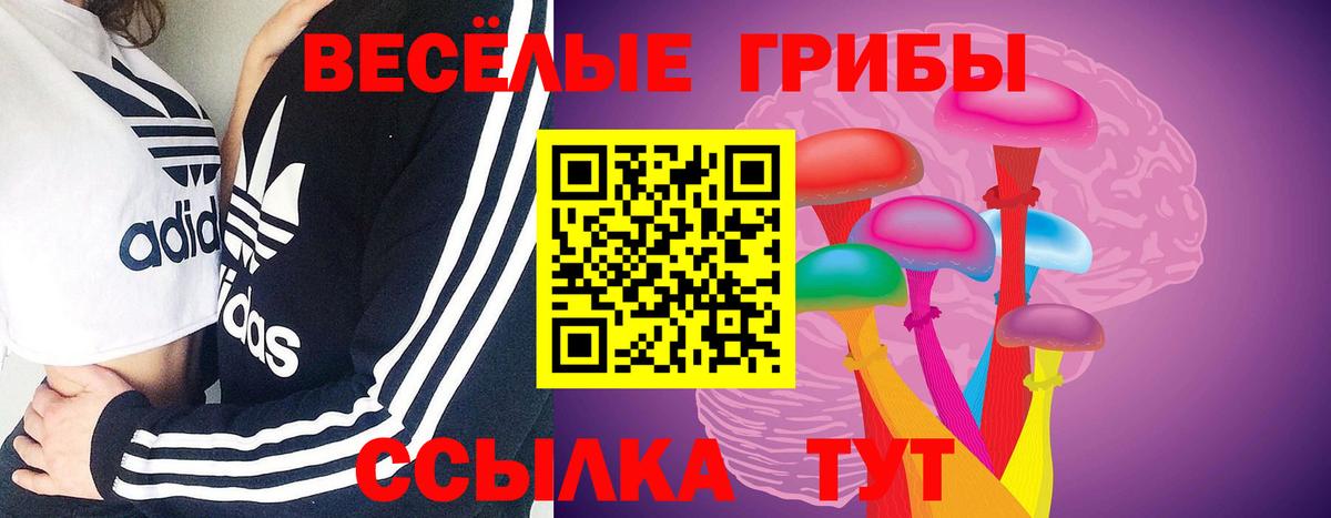 Псилоцибиновые грибы Cubensis Нижневартовск
